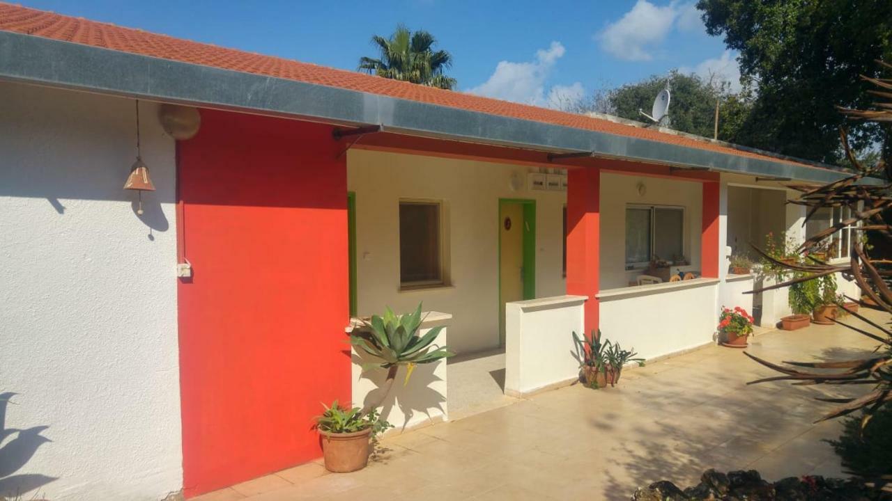 Eilon Hostel B&B Elon 外观 照片